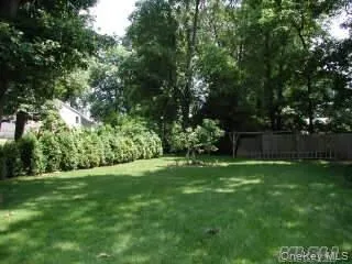 a view of a trees with a yard
