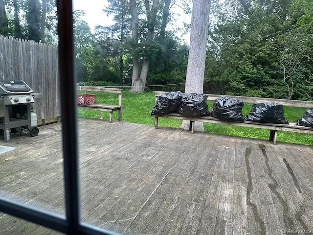 a view of park with bench and trees
