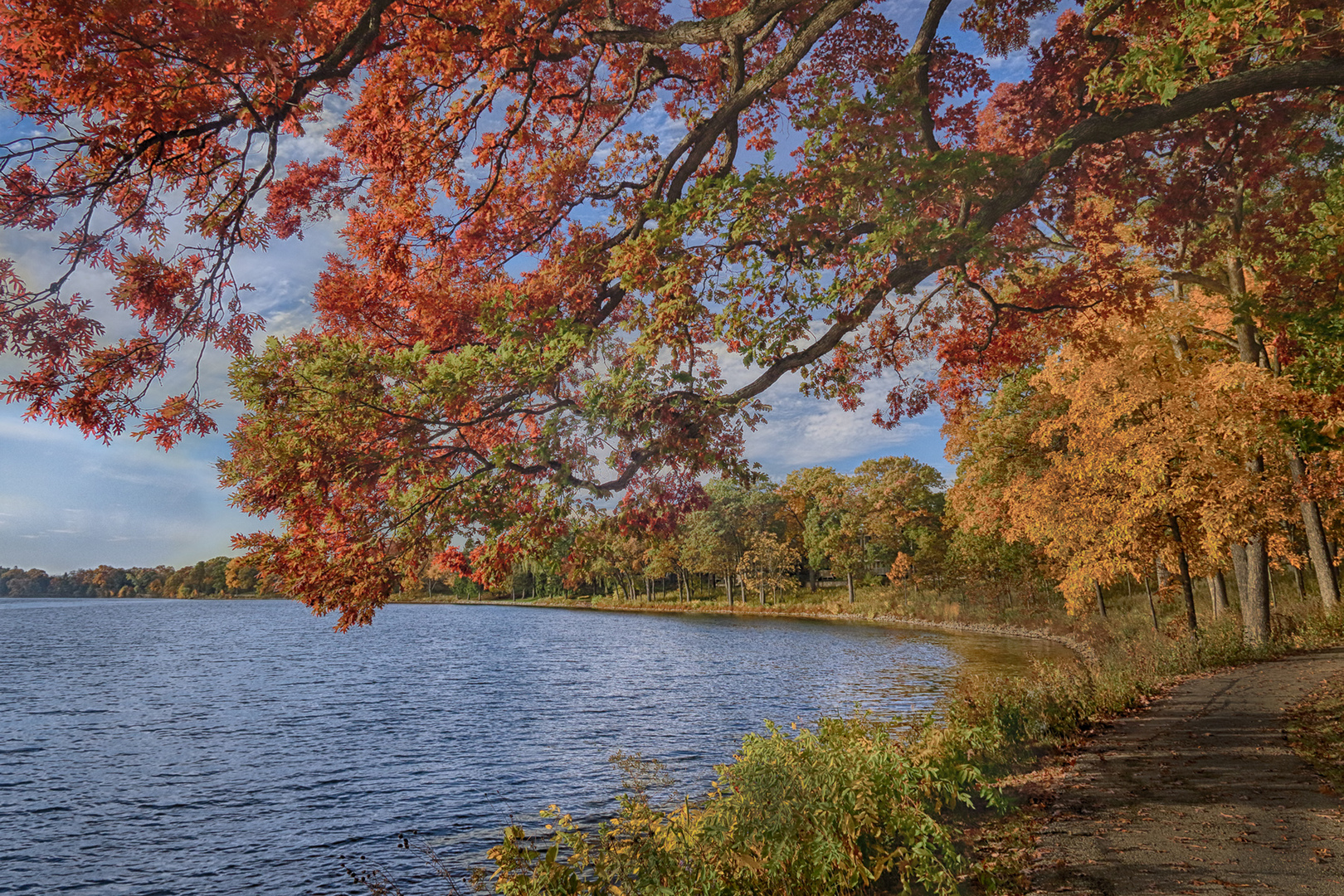 463 Old Barn Road Lake Barrington, IL 60010 - Photo 17 of 18 Gallery Image 17