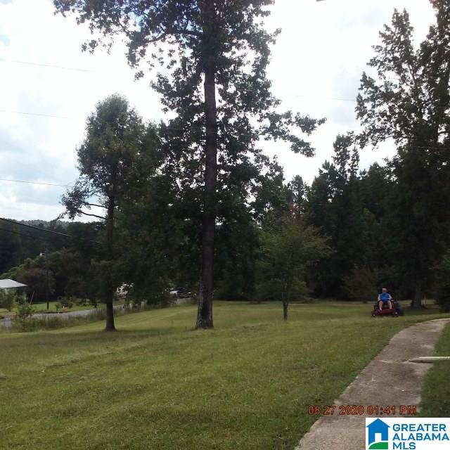 2850 River Road Cordova, AL 35550 - Photo 24 of 25