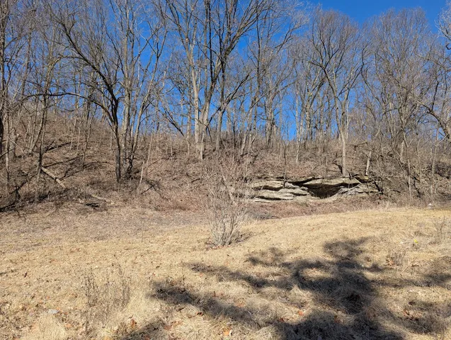 a view of yard covered with snow