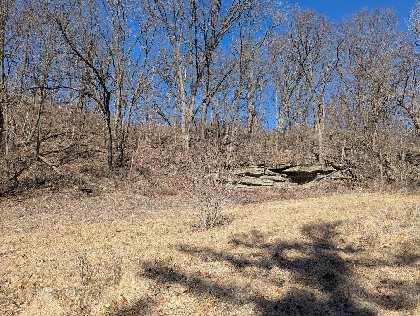 640 Rutland Street Marseilles, IL 61341 - Photo 4 of 7 a view of yard covered with snow