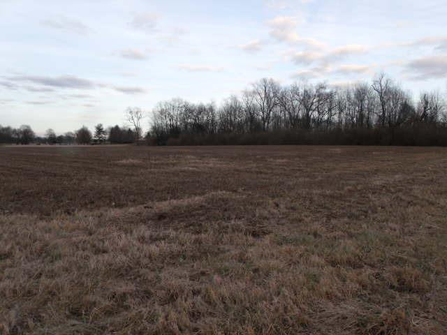 4906 1/2 Ironworks Road Georgetown, KY 40324 - Photo 4 of 4 Photo 4