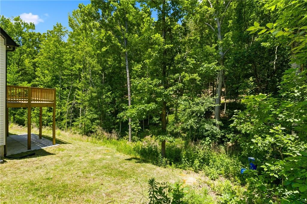 357 Orchard Way Southeast Calhoun, GA 30701 - Photo 43 of 47