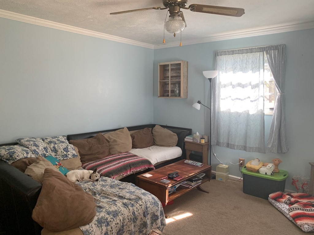 253 Crooked Creek Road Aiken, SC 29805 - Photo 12 of 14 Gallery Image 12