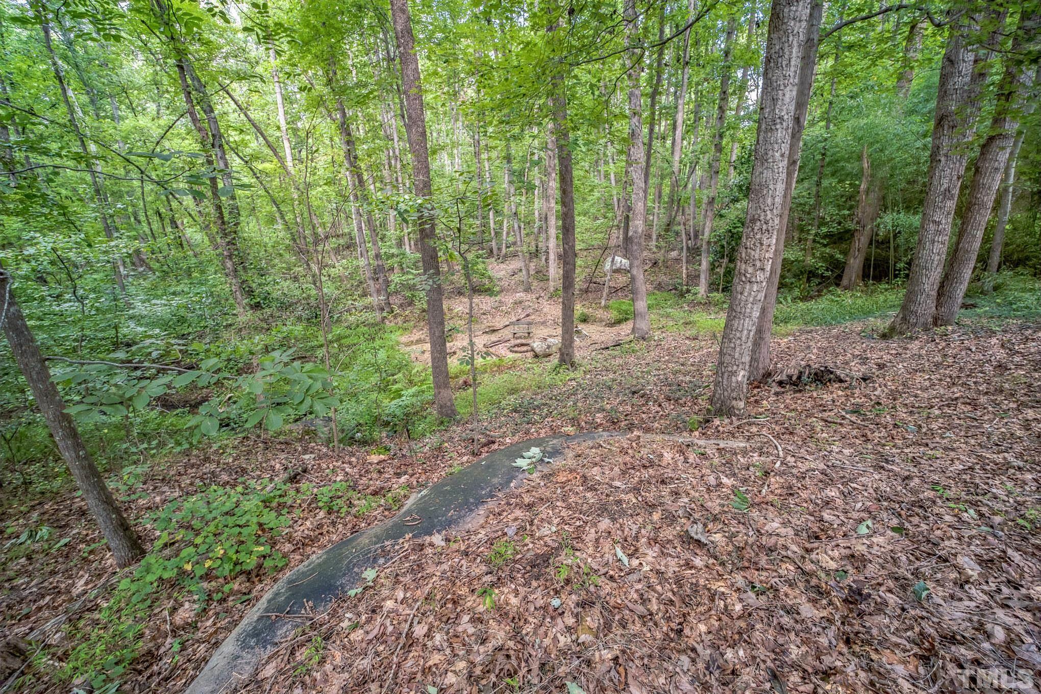 620 Long Avenue Roxboro, NC 27573 - Photo 27 of 39 a view of a forest with trees in the background