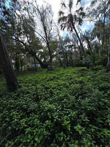 $55,000 | 943 Estelle Avenue, Brandon, FL 33511