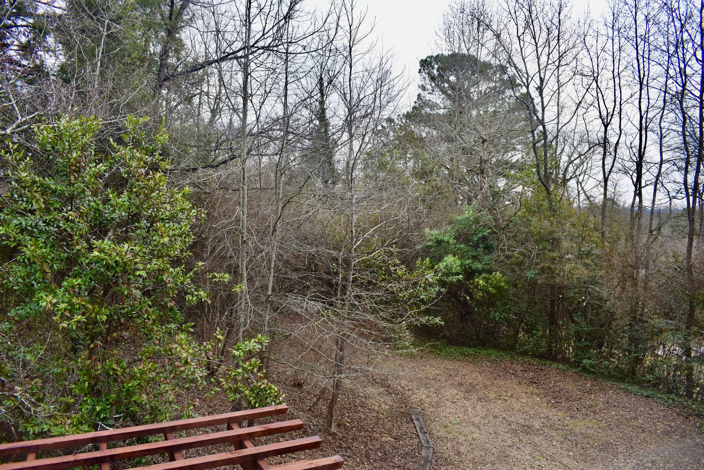 1308 South Crest Road Rossville, GA 30741 - Photo 8 of 44 ABFFCCFC-05CE-4A50-B2C5-A6FB3BA6B926