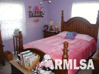 504 North Base Street Morrison, IL 61270 - Photo 11 of 14 Gallery Image 11