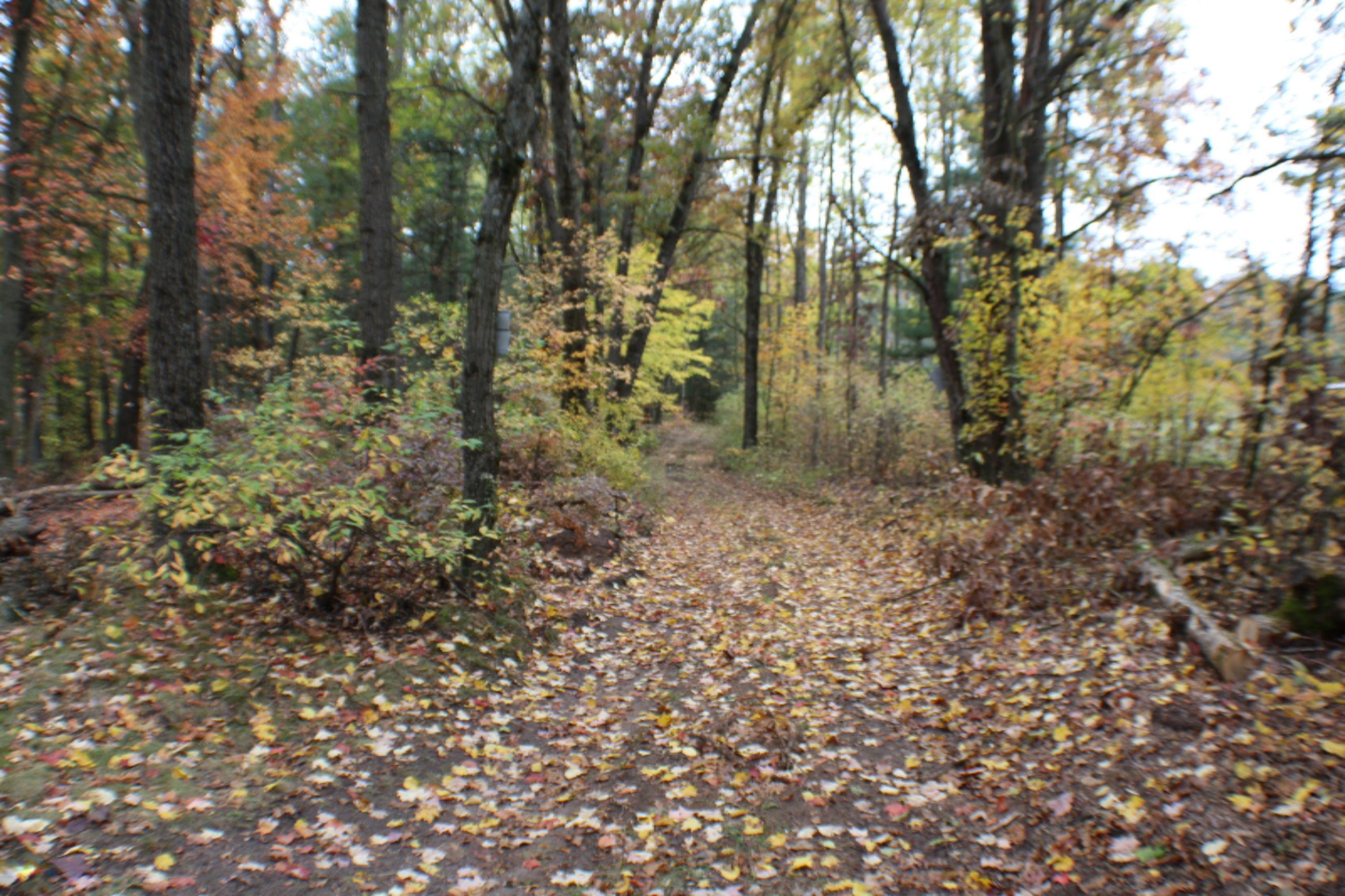 9988 West County Line Road Howard City, MI 49329 - Photo 8 of 42 IMG_1942