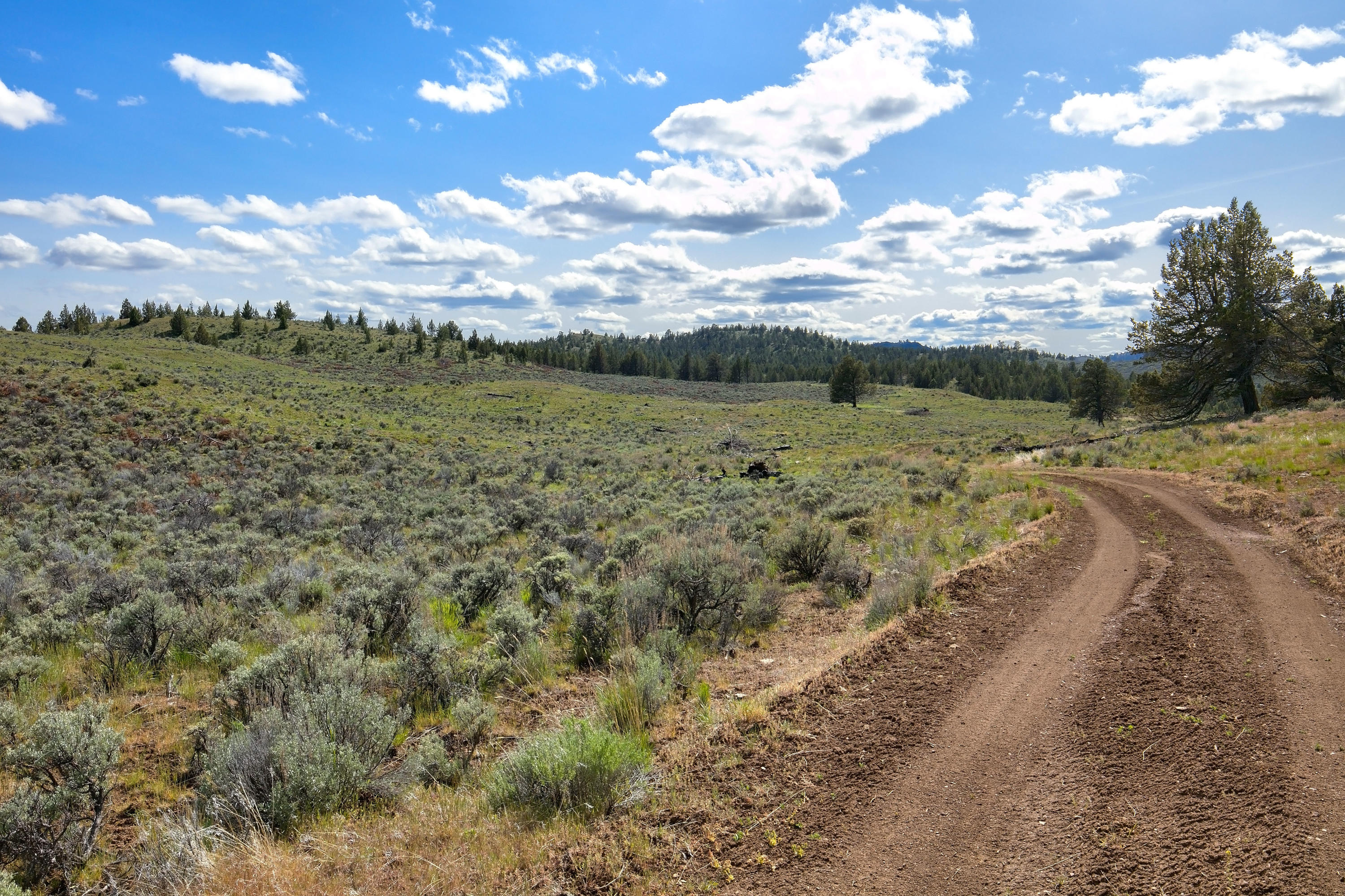 0 Merrill Road Prineville, OR 97754 - Photo 18 of 42 18 Stabb Brothers Land._051