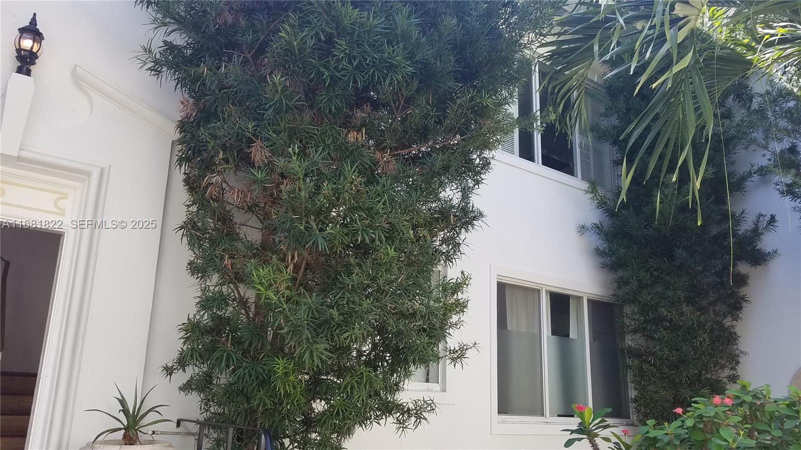 3921 Meridian Avenue Miami Beach, FL 33140 - Photo 17 of 29 a view of a house with a tree