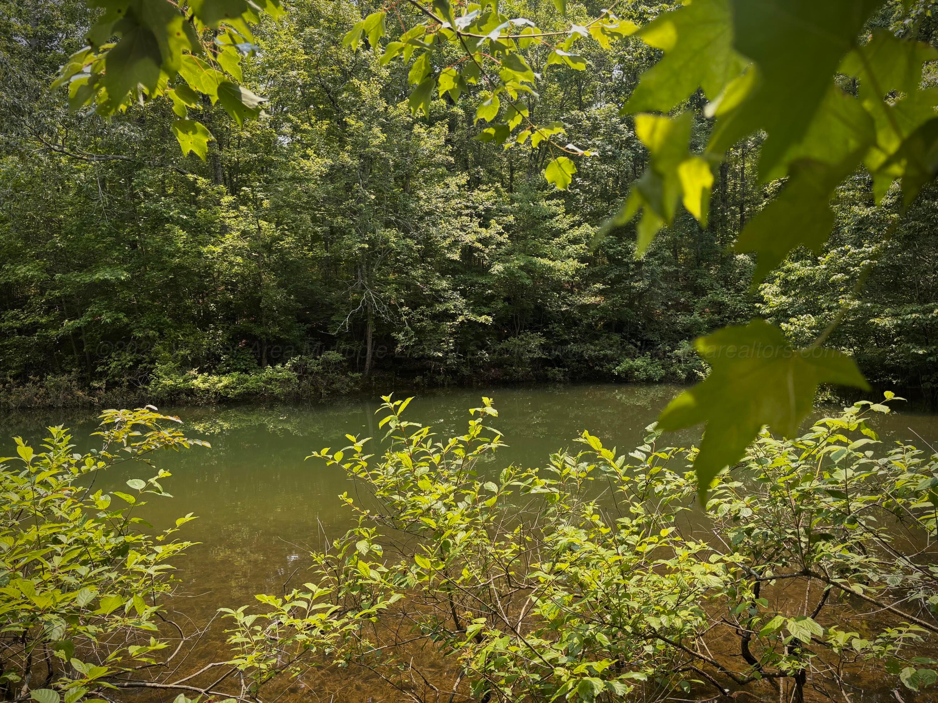 Lot 31 Stoney Point Road Double Springs, AL 35553 - Photo 18 of 22 image8
