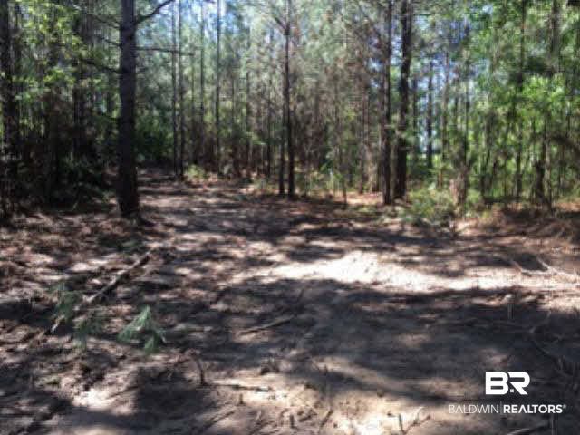 38540 County Road 39 Stapleton, AL 36578 - Photo 8 of 15