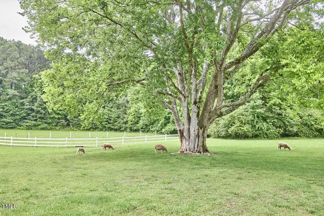 $1,450,000 | 3679 Oak Lawn Farm Road, Oxford, NC 27565