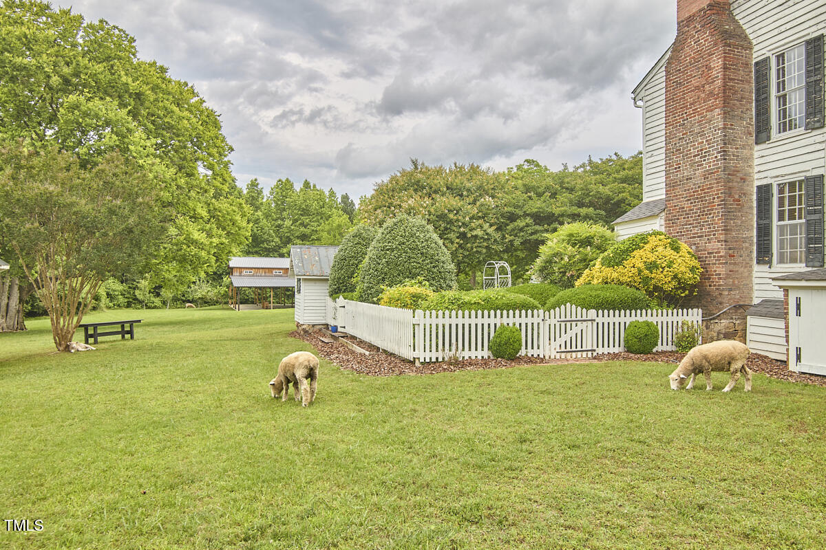 3679 Oak Lawn Farm Road Oxford, NC 27565 - Photo 9 of 71 9