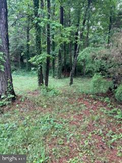 12812 Rio Grande Trail Lusby, MD 20657 - Photo 1 of 2 Gallery Image 1