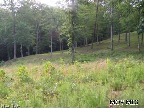0 Park Road Cairo, WV 26337 - Photo 4 of 6