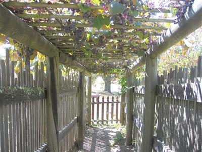 4103 Sonoma Mountain Road Santa Rosa, CA 95404 - Photo 4 of 8