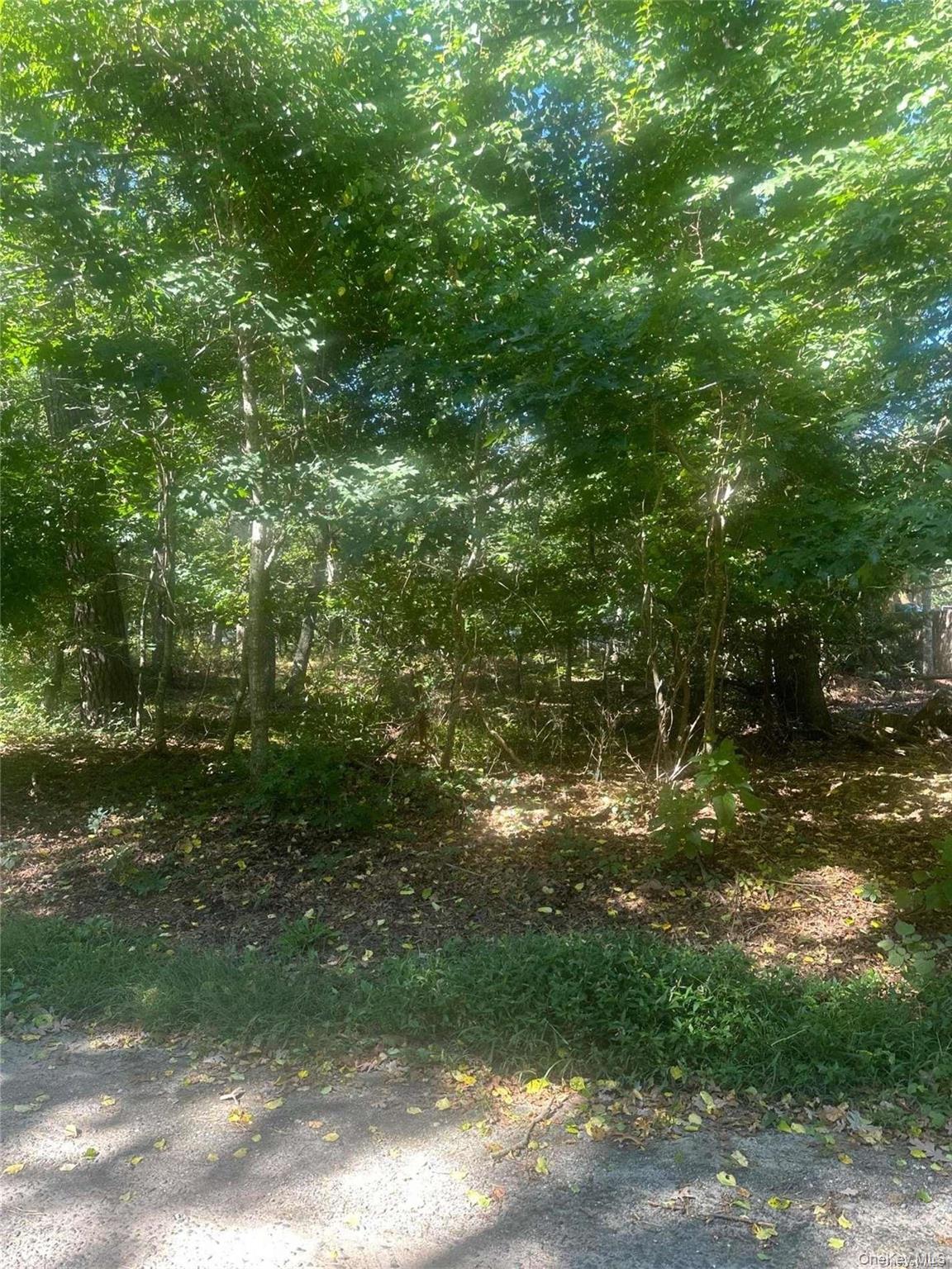 8 Shell Road Hampton Bays, NY 11946 - Photo 2 of 5 Gallery Image 2