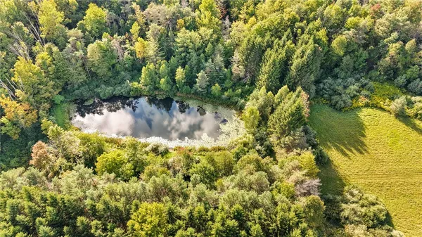 $425,000 | 416 Mc Coy Road, Nichols, NY 13812