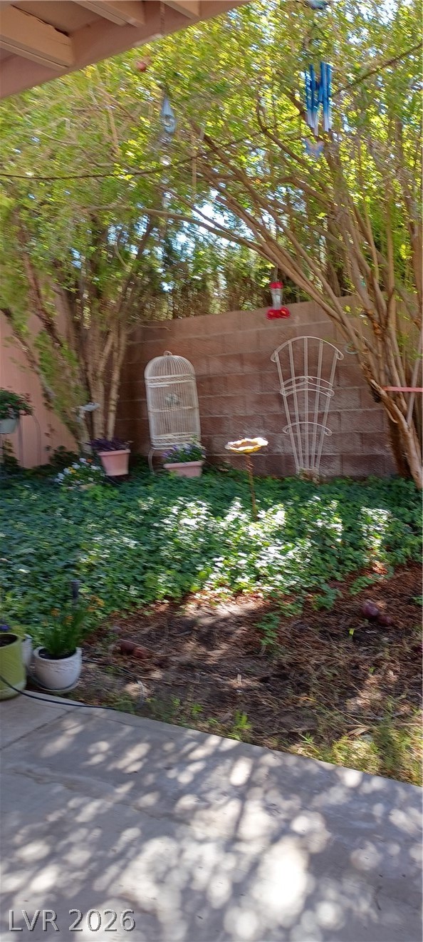 934 Derringer Lane Henderson, NV 89014 - Photo 23 of 49 View of fenced yard