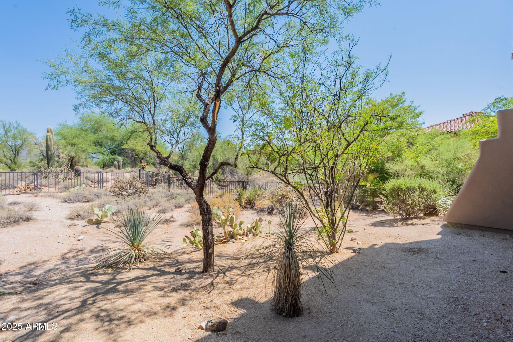 36601 North Mule Train Road, Unit B19 Carefree, AZ 85377 - Photo 40 of 48 a view of a yard with a tree