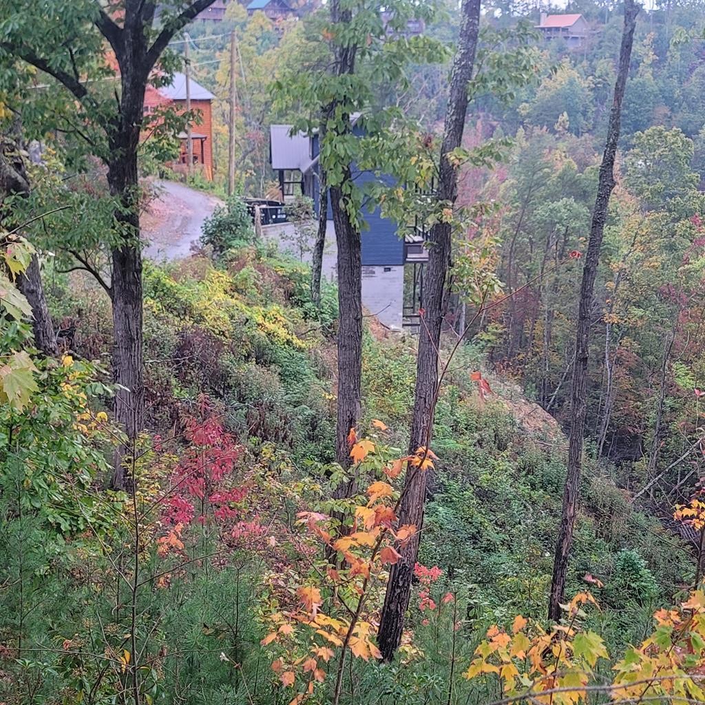 36 Blue Tick Way Sevierville, TN 37876 - Photo 10 of 25