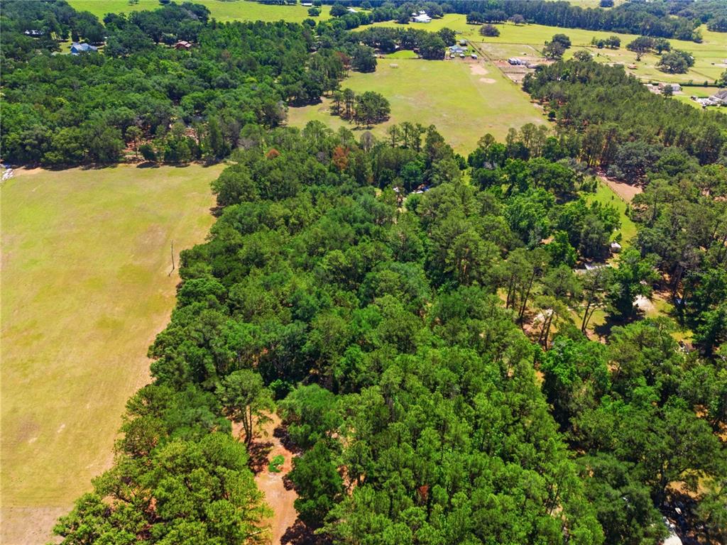 1074 Culbreath Road Brooksville, FL 34602 - Photo 7 of 20 a view of a lake with a house in the background