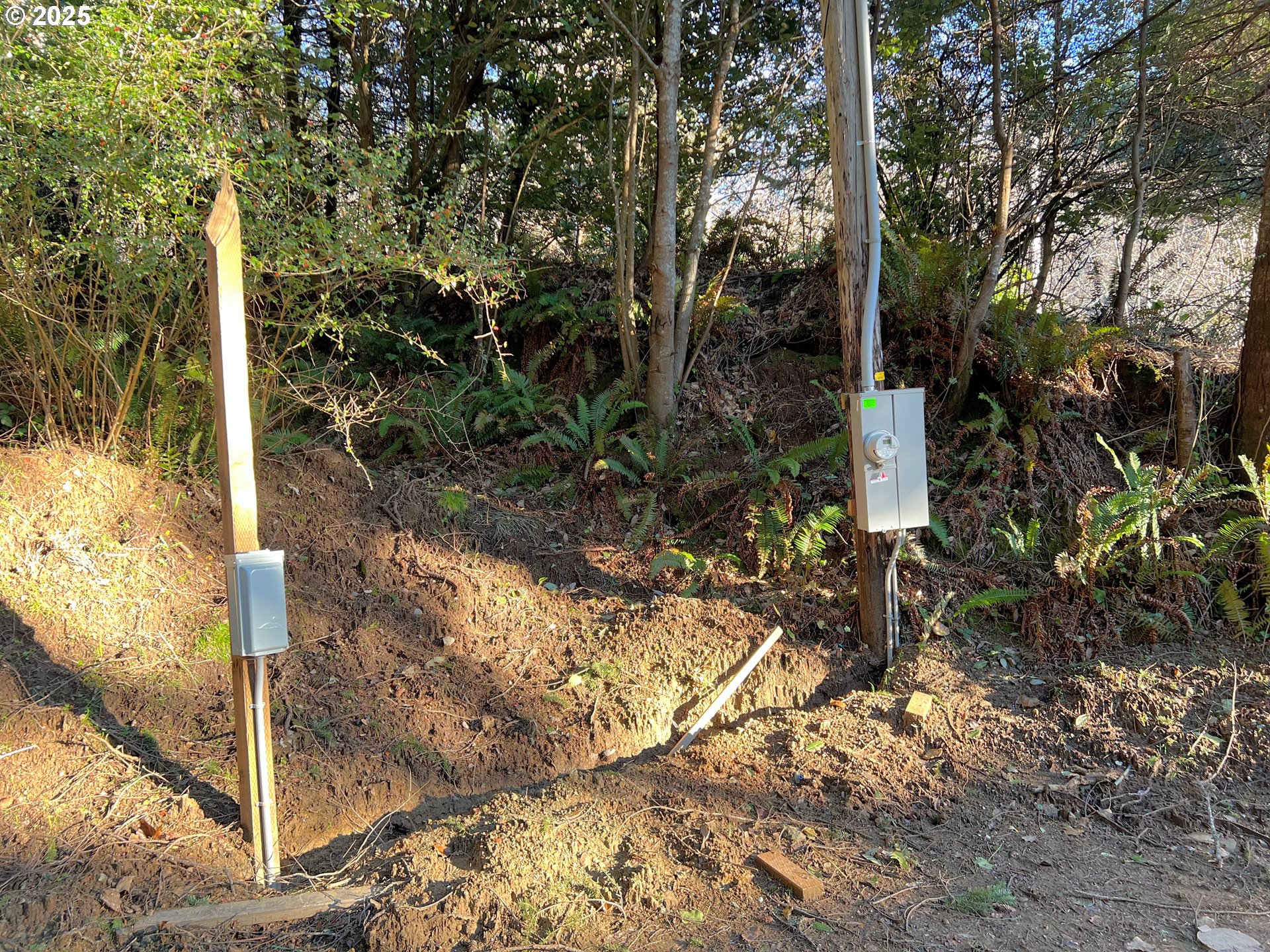 28397 Mateer Road Gold Beach, OR 97444 - Photo 17 of 17 a view of a yard with plants