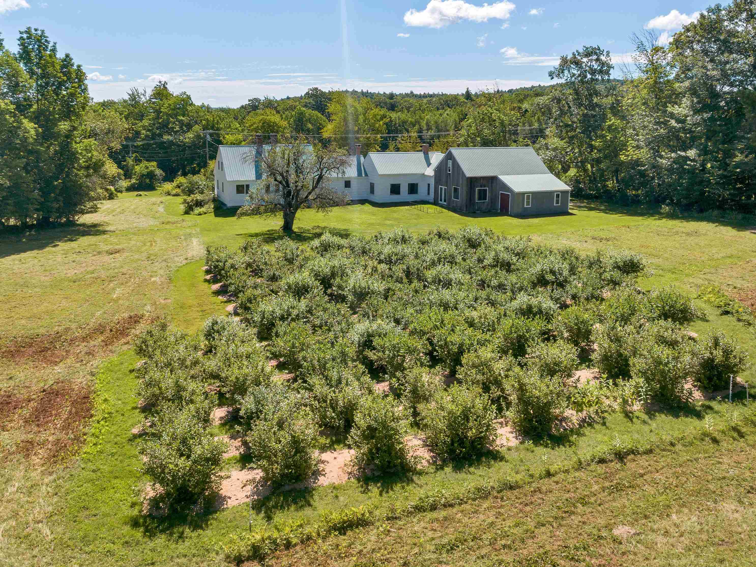 65 County Farm Road Ossipee, NH 03864 - Photo 36 of 39