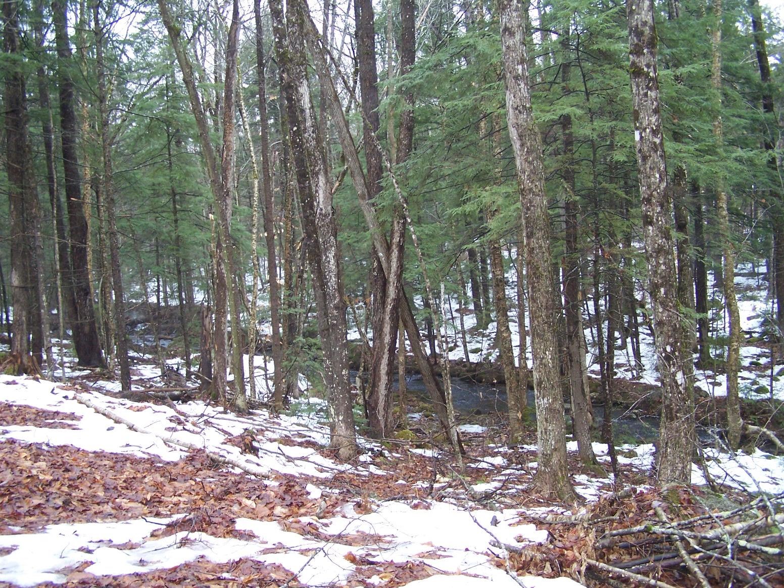 65 County Farm Road Ossipee, NH 03864 - Photo 38 of 39