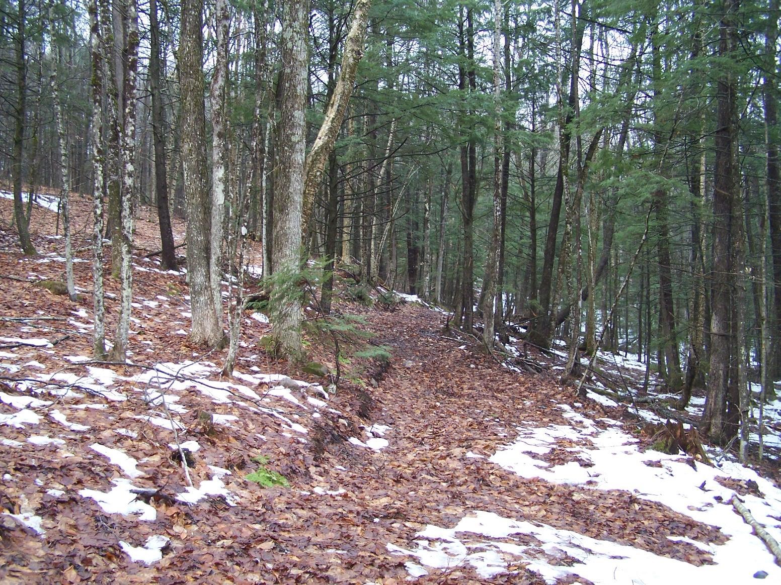 65 County Farm Road Ossipee, NH 03864 - Photo 39 of 39