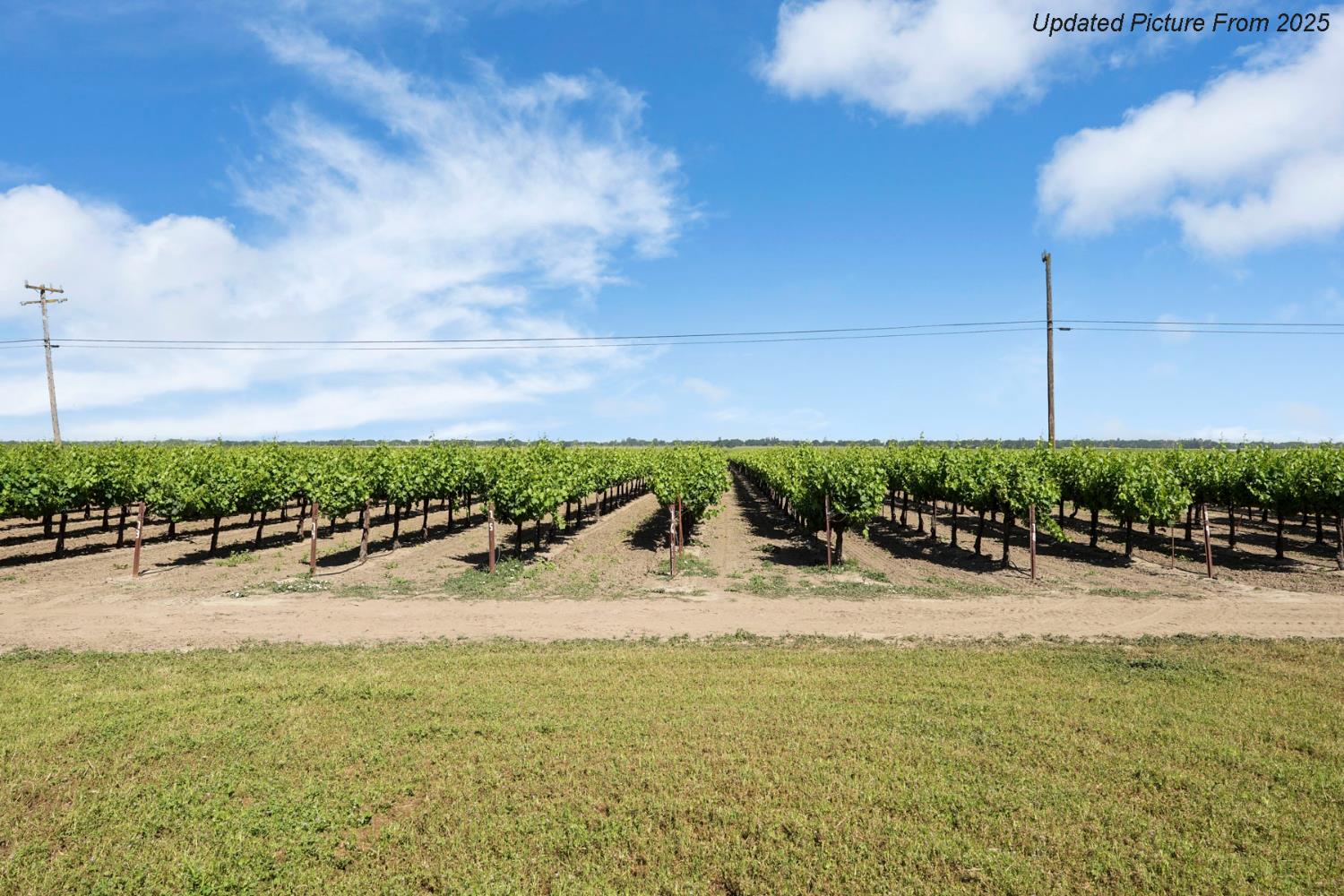 39670 South River Road Clarksburg, CA 95612 - Photo 85 of 85