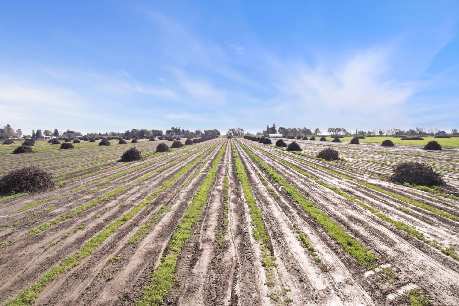 39670 South River Road Clarksburg, CA 95612 - Photo 10 of 85