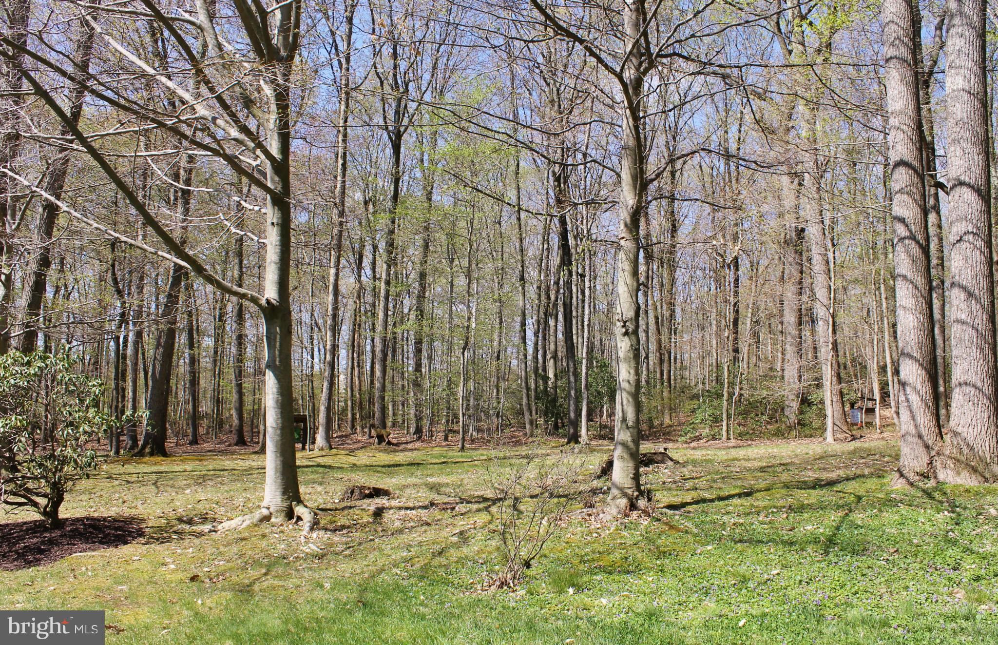 949 Oldfield Point Road Elkton, MD 21921 - Photo 7 of 28 View