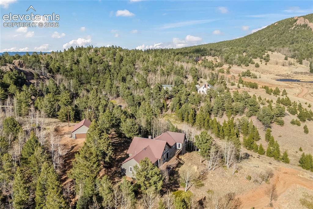 1008 Cantiberry Road Divide, CO 80814 - Photo 35 of 37