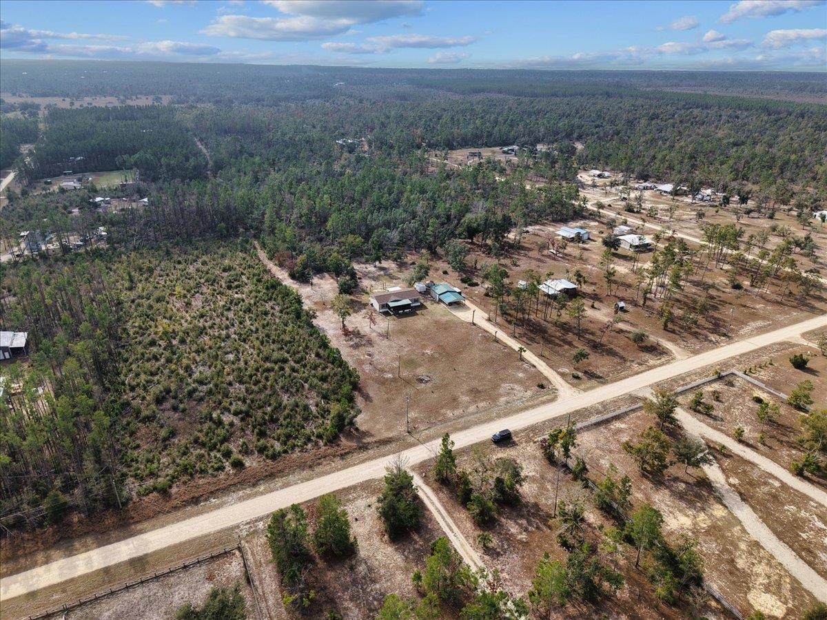 2775 Ocean Pond Road Perry, FL 32348 - Photo 13 of 42