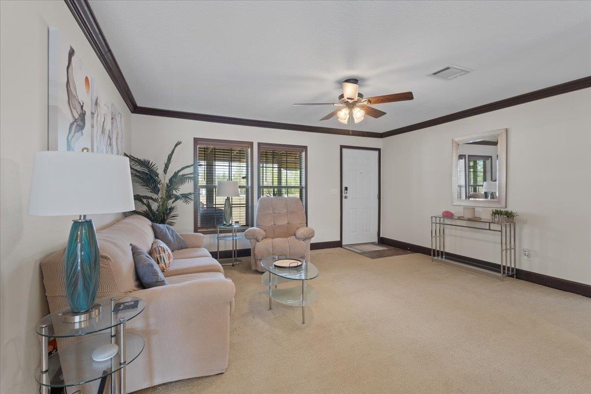 2775 Ocean Pond Road Perry, FL 32348 - Photo 33 of 55