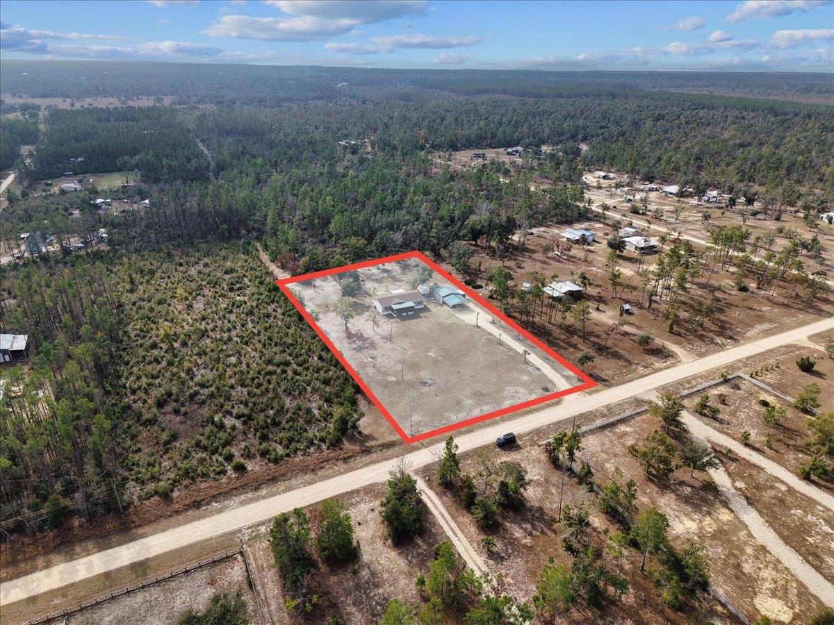 2775 Ocean Pond Road Perry, FL 32348 - Photo 50 of 55