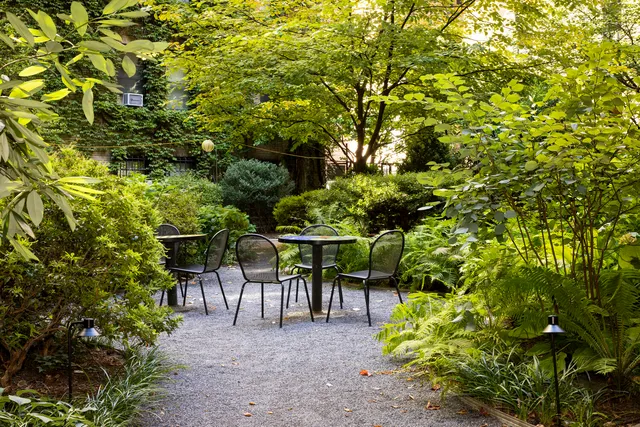a view of a yard with plants and trees
