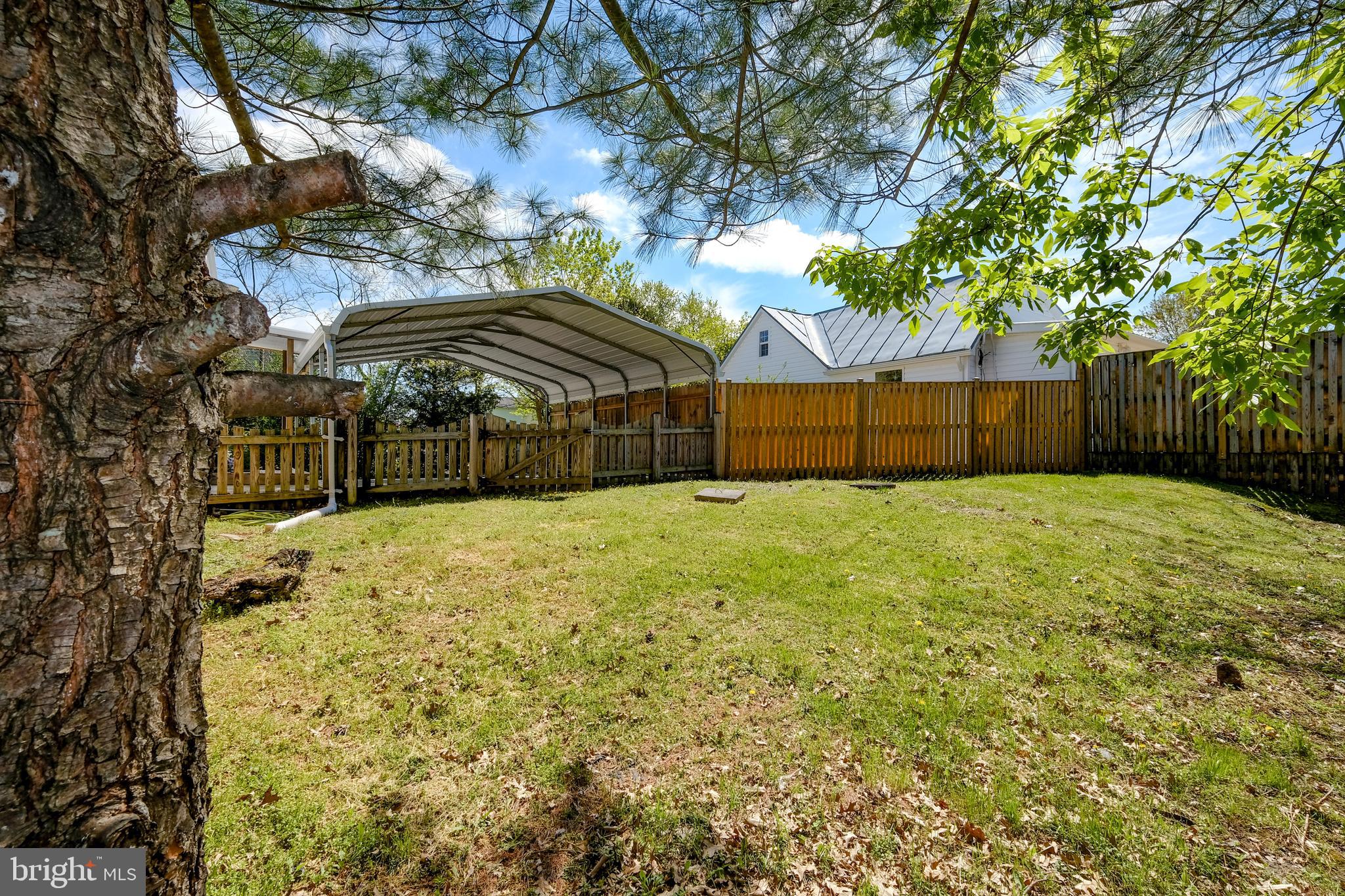 1538 Senseny Road Winchester, VA 22602 - Photo 21 of 23 Large, privacy-fenced yard