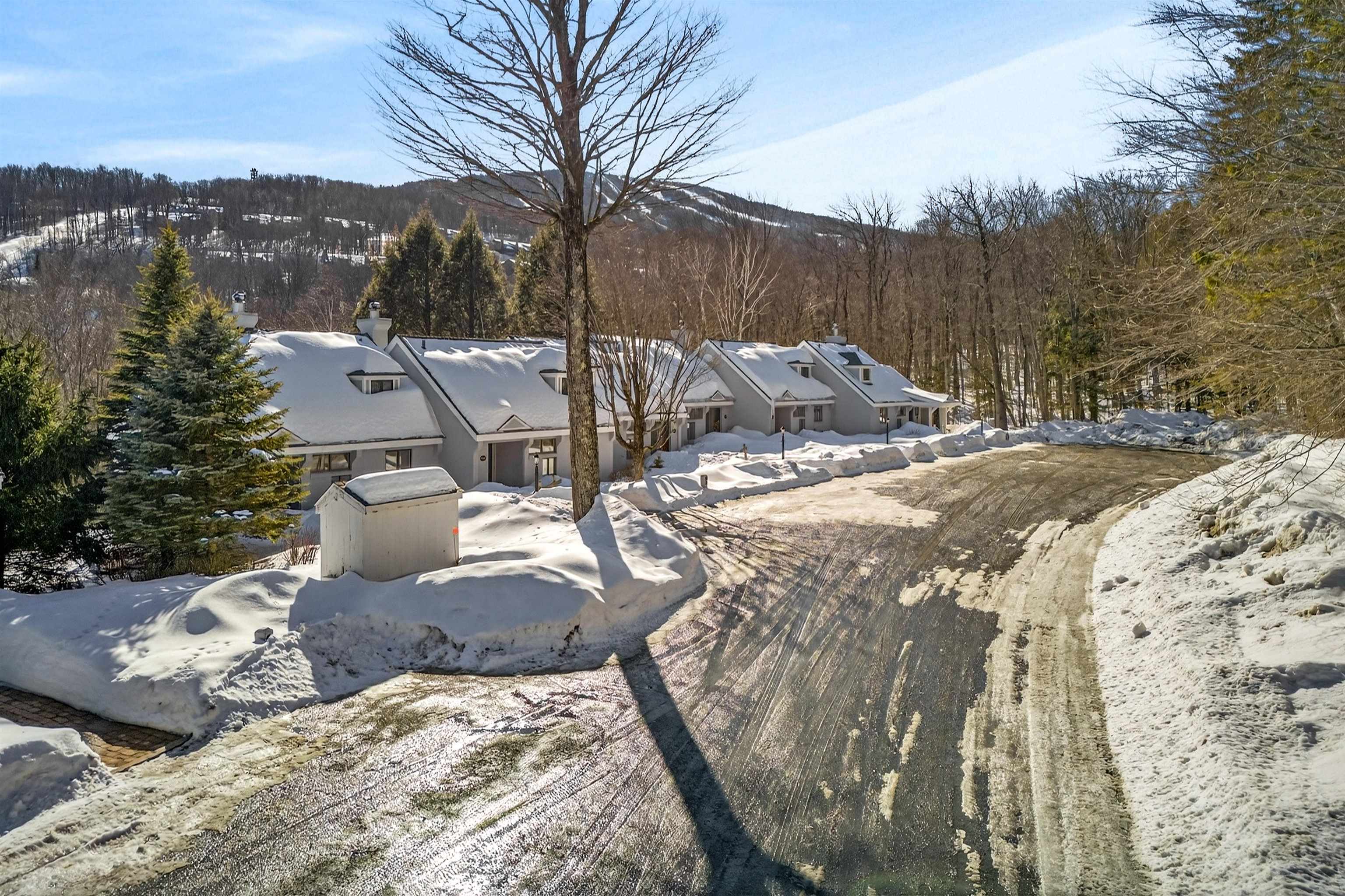 56 Styles Branch Road, Unit 703 Stratton, VT 05155 - Photo 32 of 35