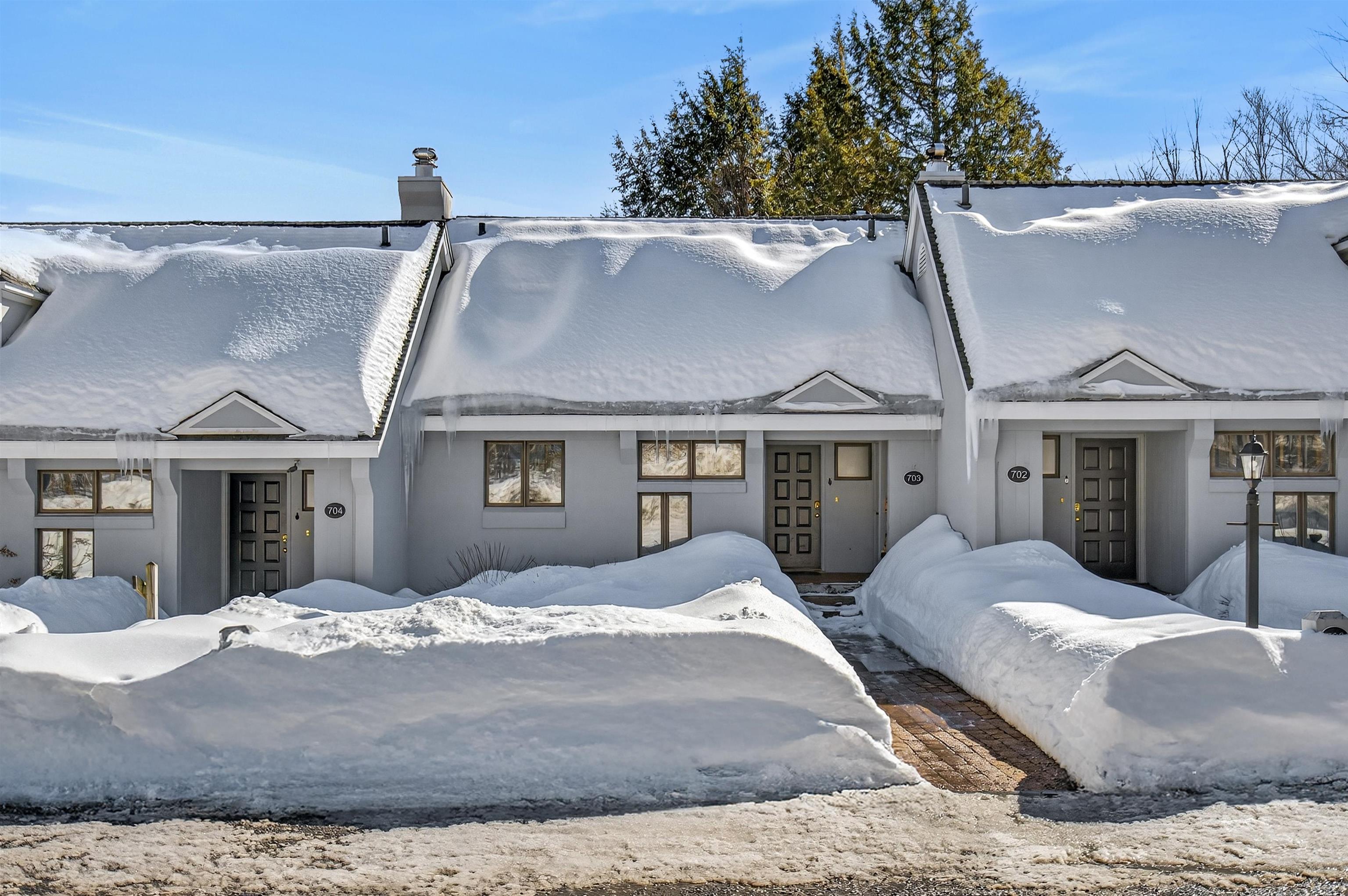 56 Styles Branch Road, Unit 703 Stratton, VT 05155 - Photo 33 of 35