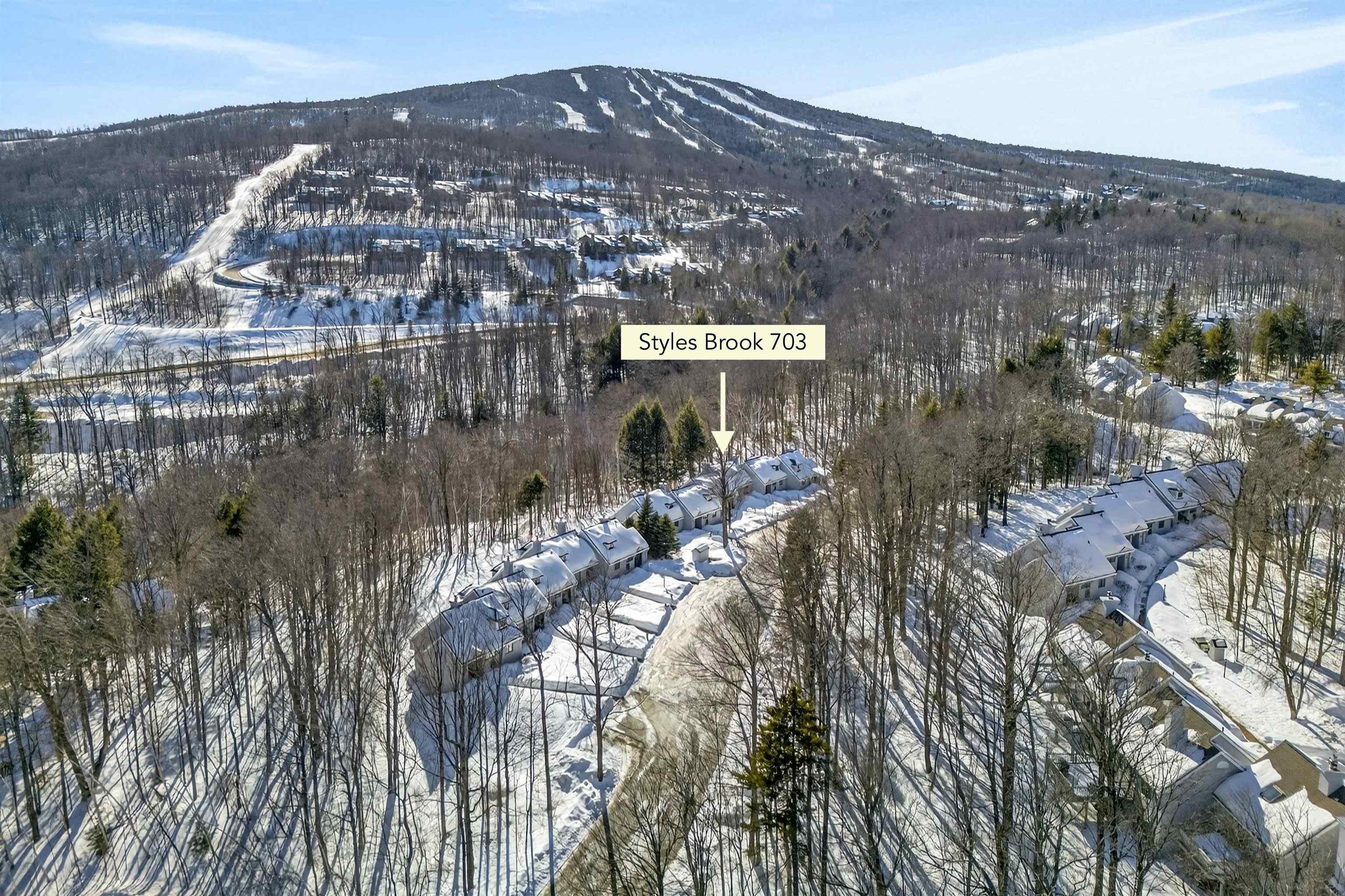 56 Styles Branch Road, Unit 703 Stratton, VT 05155 - Photo 34 of 35