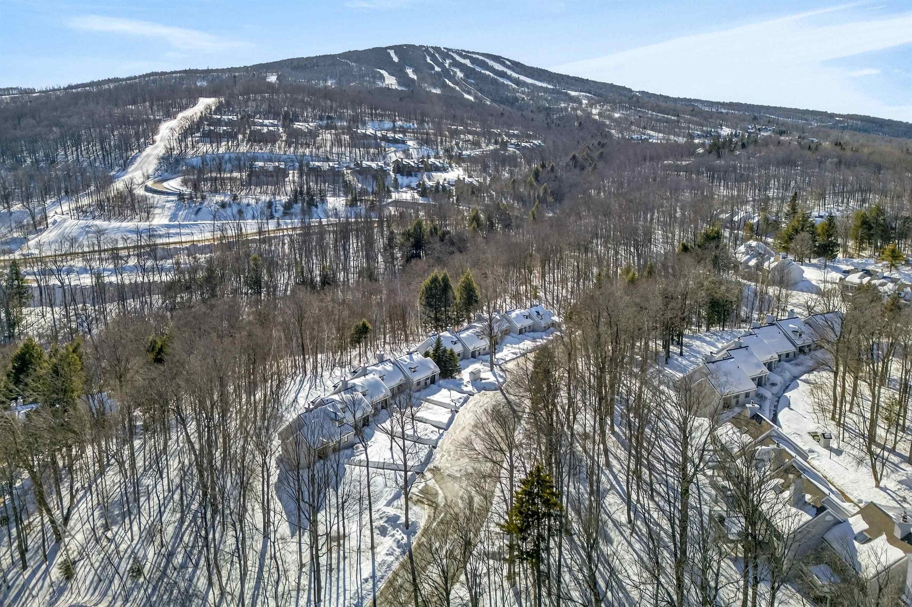 56 Styles Branch Road, Unit 703 Stratton, VT 05155 - Photo 35 of 35