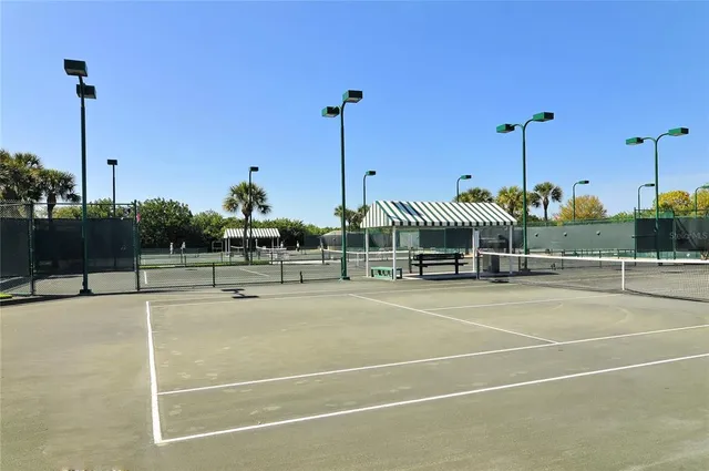 a view of a tennis court with a palm tree