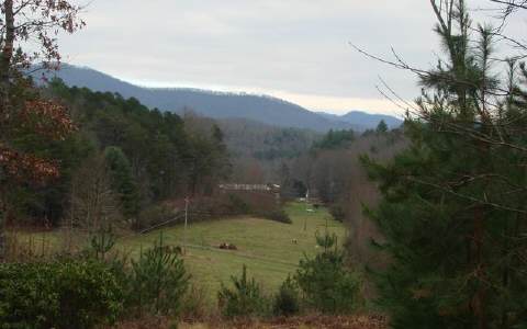 683 Goldie Garrett Road Marble, NC 28905 - Photo 1 of 1 Main View