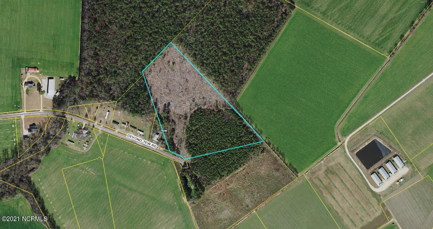 Aerial View - Note cutover which is now overgrown.