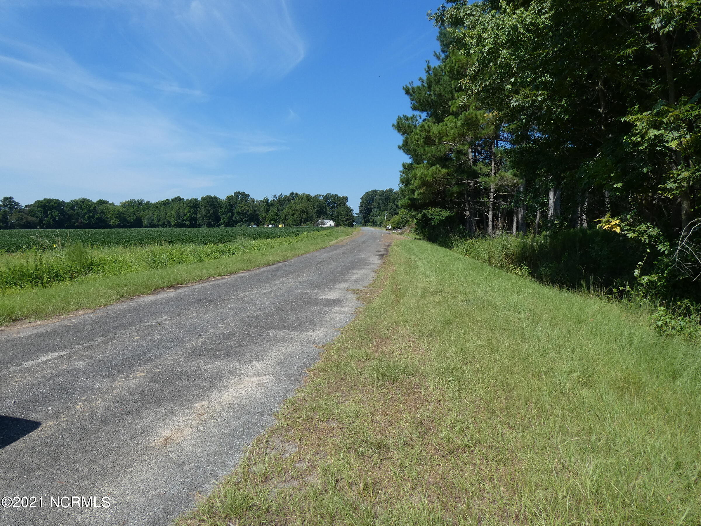 2 Devond Tew Road Roseboro, NC 28382 - Photo 3 of 5 Road Frontage